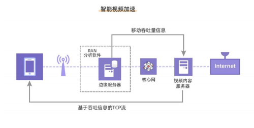 POLA-泼辣币怎么样?POLA-泼辣币还会继续上涨吗?