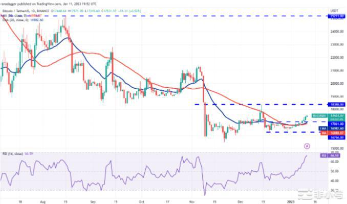 价格分析：BTC、ETH、BNB、DOGE、LTC